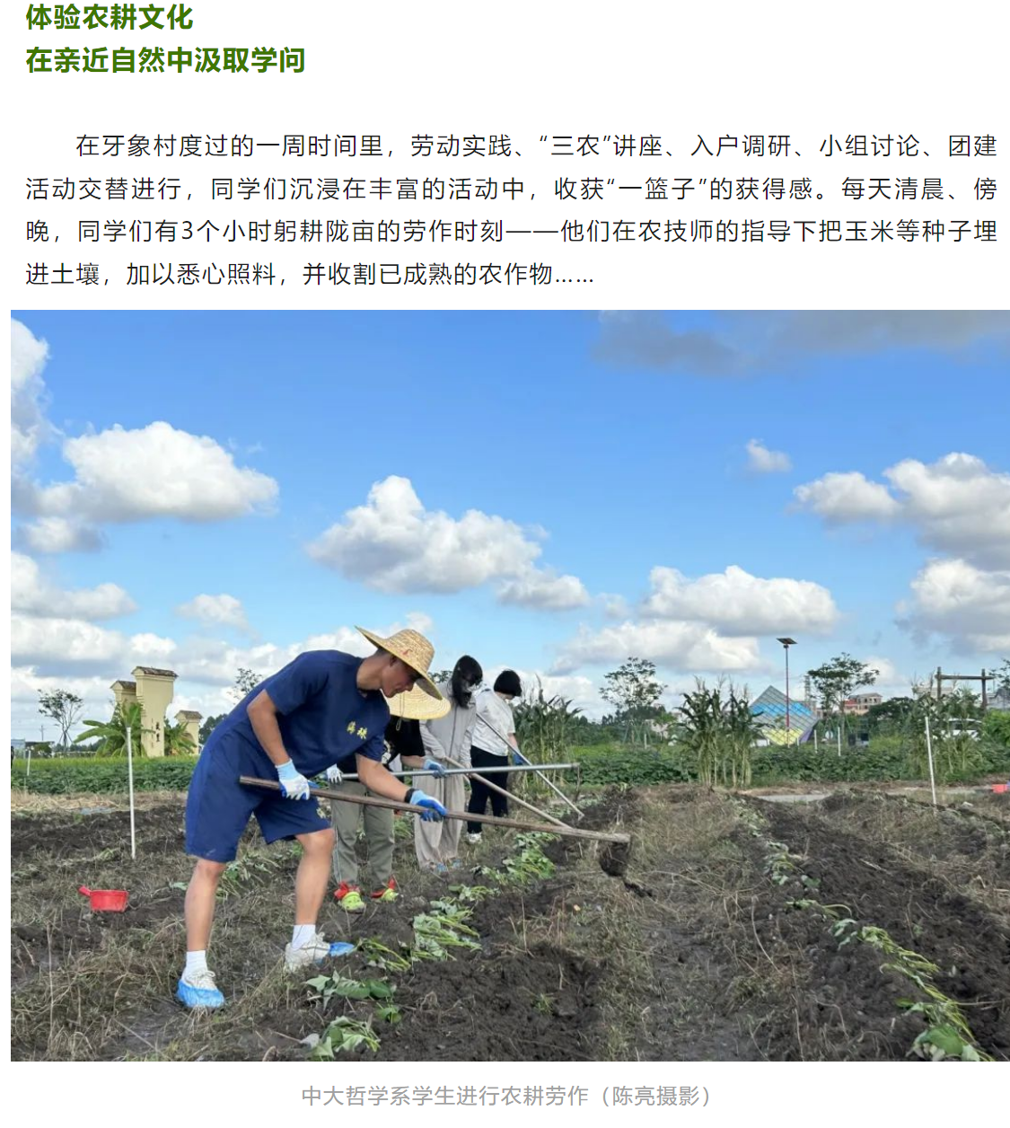 image-20230907172817-2