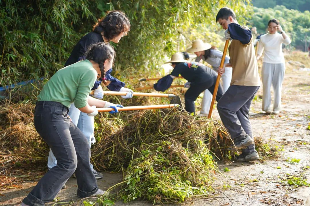 image-20240320095423-1