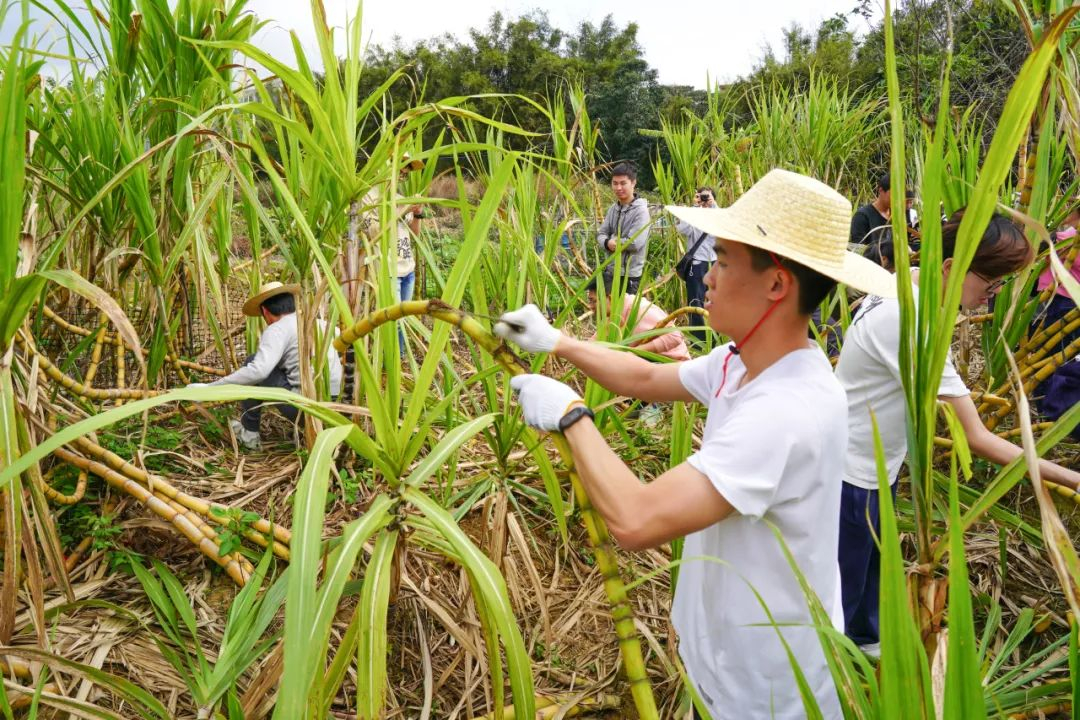 image-20240320095511-2