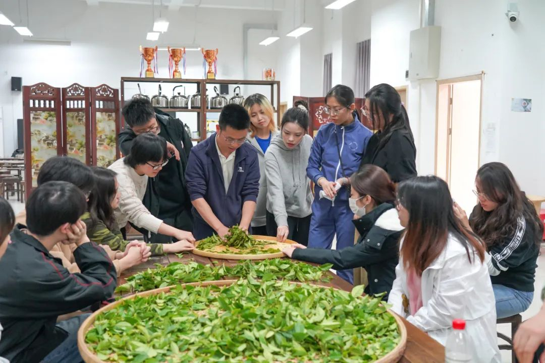 image-20240320095534-3