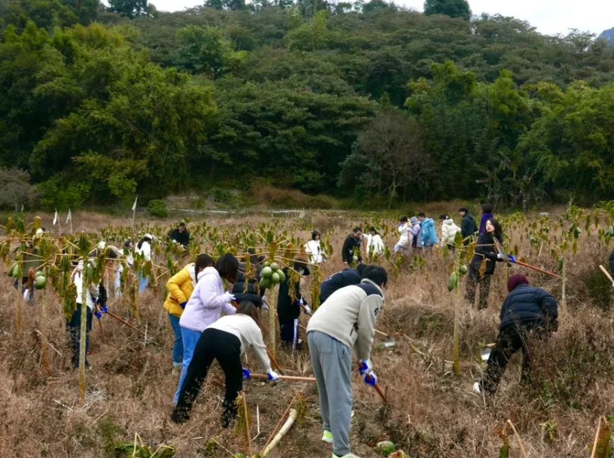 image-20250226093145-1